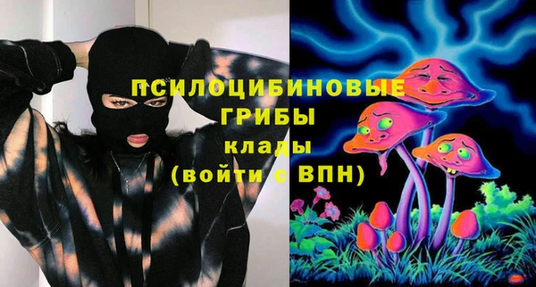 марки lsd Бородино